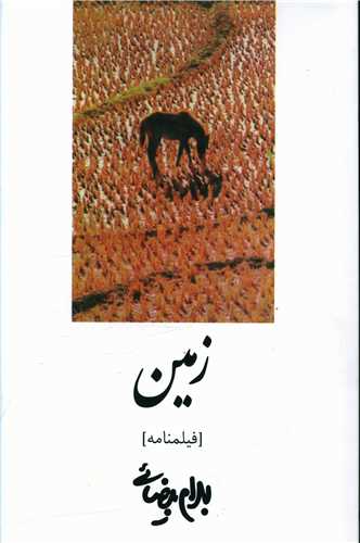 زمین 