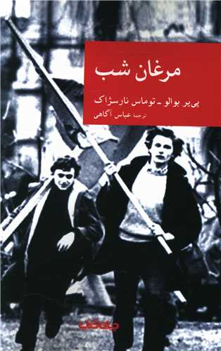 مرغان شب 