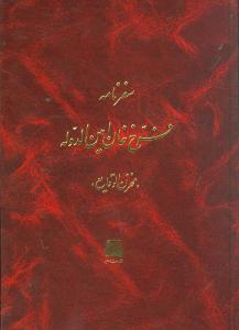 سفرنامه فرخ خان امین‌الدوله (وزیری)