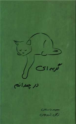 گربه ای در چمدانم