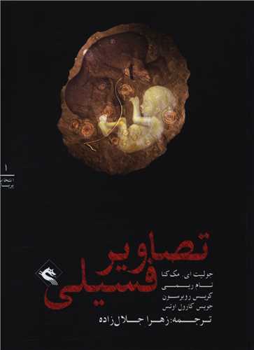 تصاویر فسیلی 
