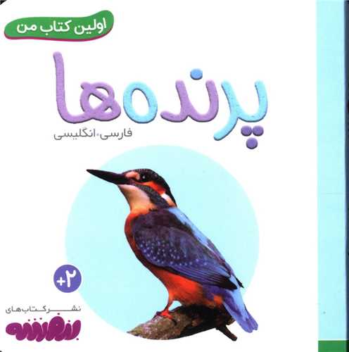 اولین کتاب من (پرنده ها)(نقلی)
