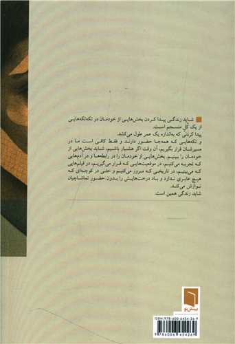 تکه هایی از یک کل منسجم (شومیز)
