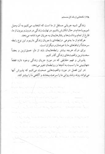 تکه هایی از یک کل منسجم (شومیز)