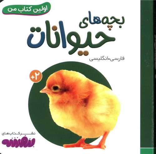 اولین کتاب من (بچه های حیوانات)(نقلی)