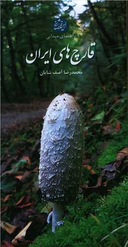 راهنمای میدانی قارچ های ایران (پالتویی)
