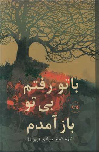 با تو رفتم بی تو باز آمدم 
