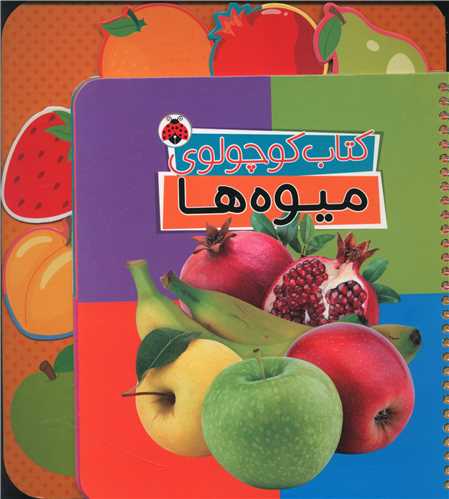 کتاب کوچولو میوه ها (فنری)(شهر قلم)