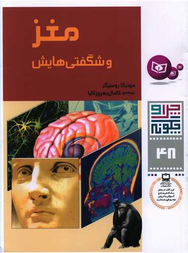 چرا و چگونه (48)(مغز و شگفتیهایش)