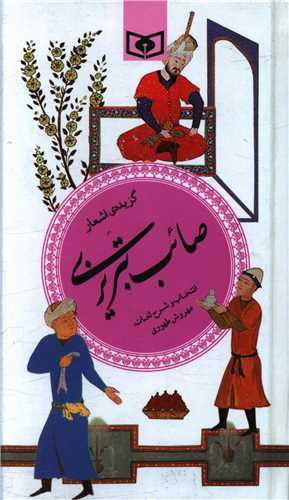 گزیده صائب تبریزی (پالتویی)