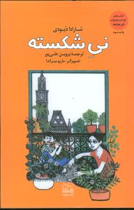 نی شکسته 