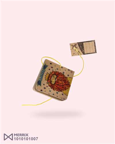 دفترچه فانتزی (سایز 1)(1007)