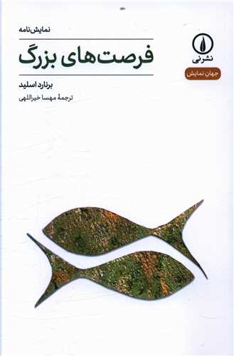 فرصت هاي بزرگ (ني)