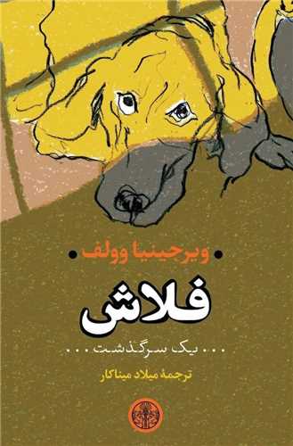فلاش 