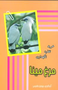 مرغ مینا (خرید تغذیه نگهداری)