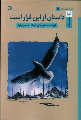 داستان از این قرار است 