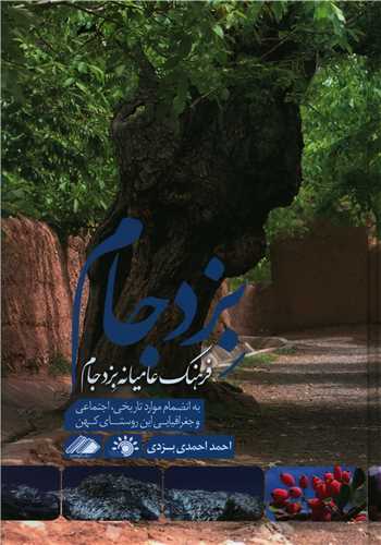 فرهنگ عامیانه بزد جام 