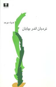 نردبان اندر بیابان 
