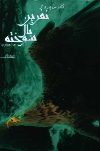 نفرین بال سوخته (کتاب اول)(کابوس پرواز)