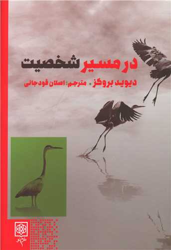در مسیر شخصیت (شومیز)