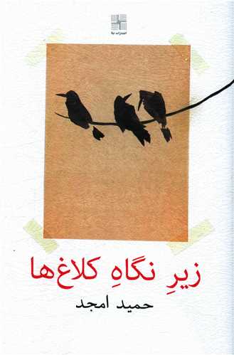 زیر نگاه کلاغ ها 