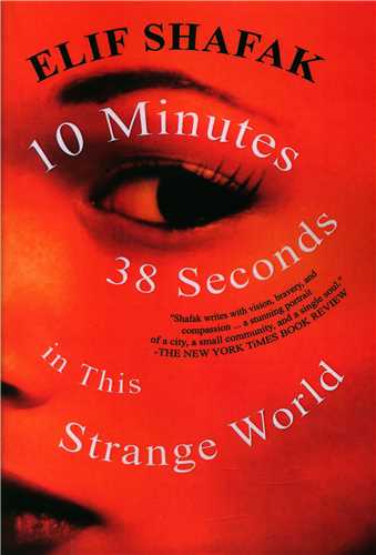10Minutes 38 Seconds in the Strange World