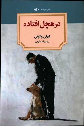 در هچل افتاده (دیدآور)