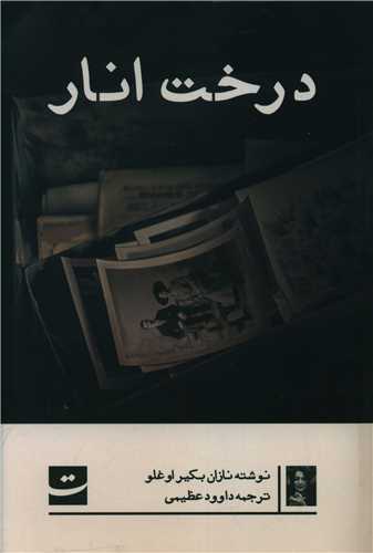 درخت انار 