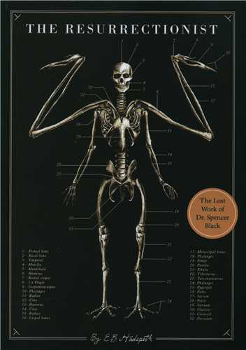 The Resurrectionist  رستاخيز (سبزان)