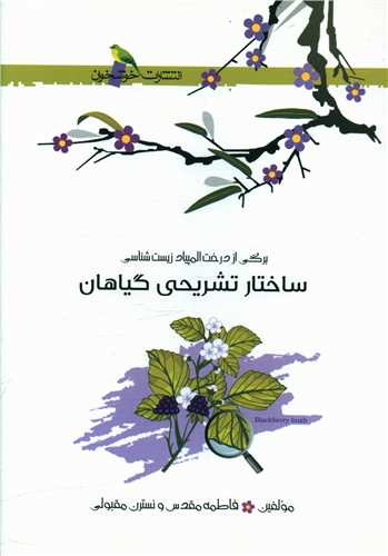 ساختار تشریحی گیاهان (خوشخوان)