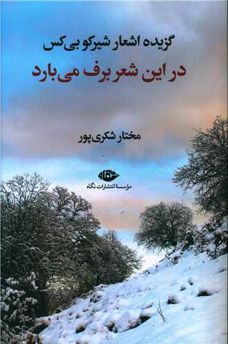 در این شعر برف می بارد