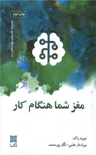 مغز شما هنگام کار 