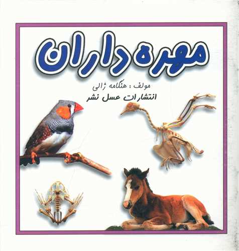 مهره داران (خشتي)(عسل نشر)
