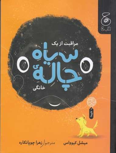مراقبت از يک سياه چاله‌ي خانگي (چشمه)