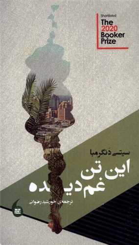 این تن غمدیده