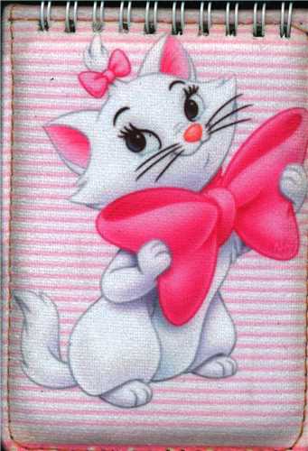 دفتر پارچه ای (طرح گربه)(پاسپورتی)(نور گیتی)