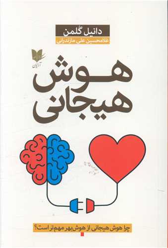 هوش هیجانی (دانیل گلمن)