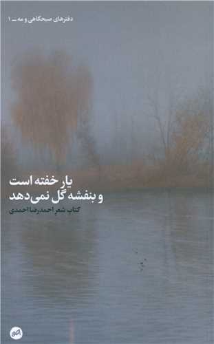 یار خفته است و بنفشه گل نمی دهد (جیبی)