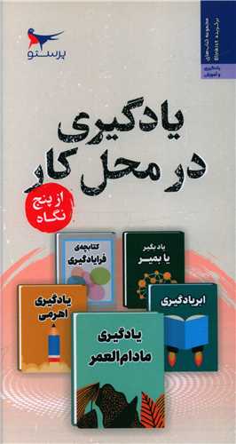 یادگیری در محل کار از پنج نگاه (پالتویی)(پرستو)