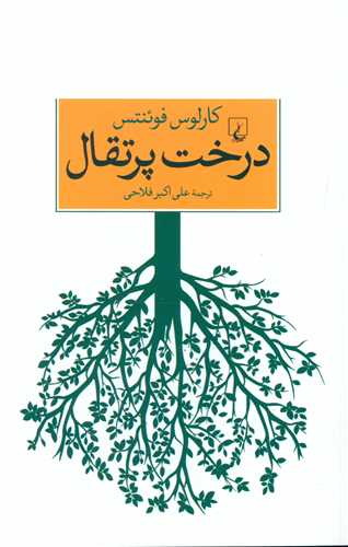 درخت پرتقال