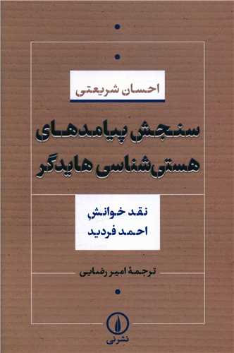 سنجش پیامدهای هستی شناسی هایدگر 