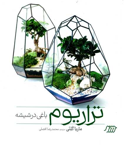تراريوم باغي در شيشه (خشتي)(گالينگور)(فني ايران)