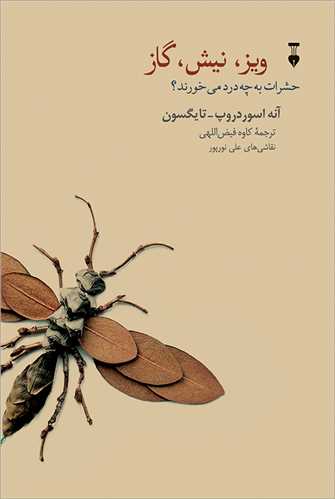 ویز نیش گاز 