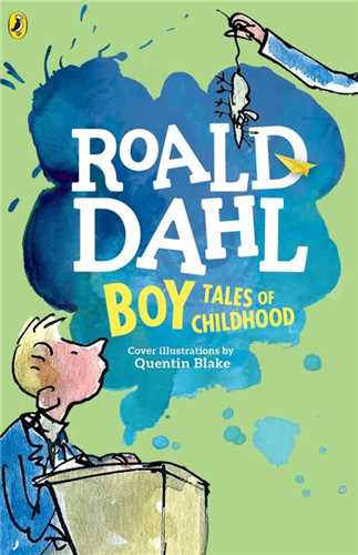 Boy: Tales Of Childhood کتاب پسر: داستان هايي از دوران کودکي (معيار انديشه)