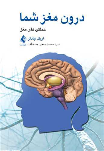 درون مغز شما عملکردهای مغز