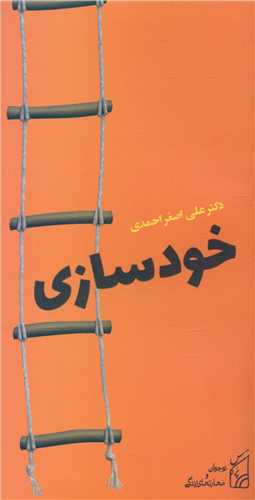خود سازی (پالتویی)