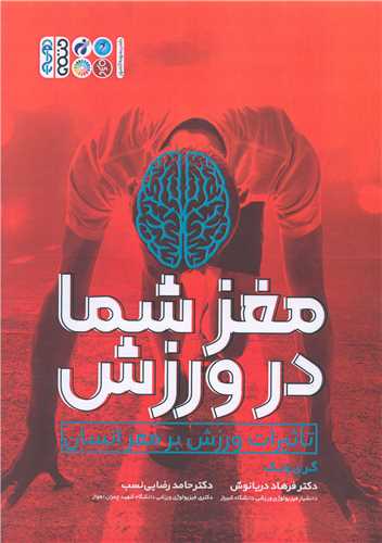 مغز شما در ورزش (تاثیرات ورزش بر مغز انسان)