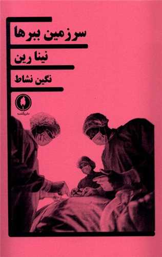 سرزمین ببرها 