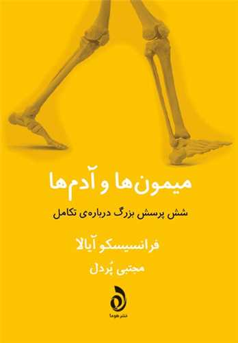 میمون ها و آدم ها