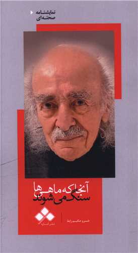 آنجا که ماهی ها سنگ می شوند (پالتویی)